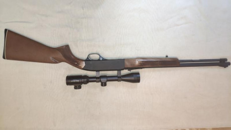 Vendo carabina semiautomática Winchester 290 22LR con visor 3-9 x 40 01