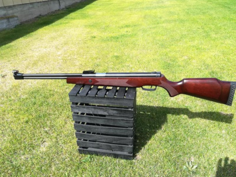 Hola, por varios y diferentes motivos tengo que vender todas mis carabinas de pistón.
Estas carabinas 02