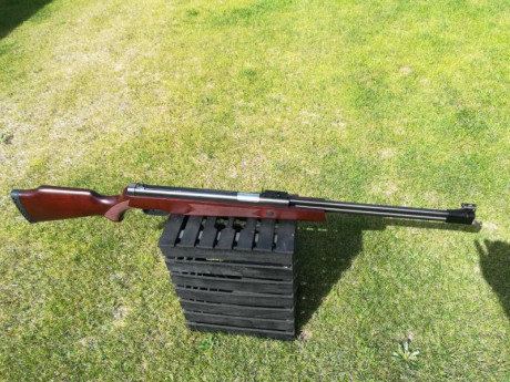 Hola, por varios y diferentes motivos tengo que vender todas mis carabinas de pistón.
Estas carabinas 00