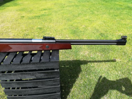 Hola, por varios y diferentes motivos tengo que vender todas mis carabinas de pistón.
Estas carabinas 12