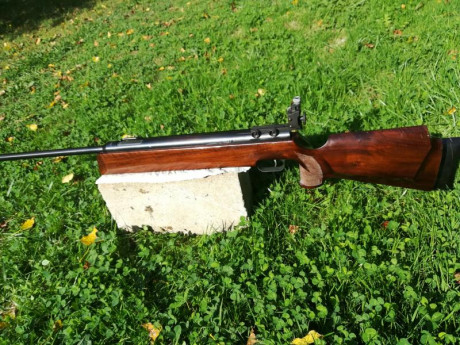 Hola, por varios y diferentes motivos tengo que vender todas mis carabinas de pistón.
Estas carabinas 22
