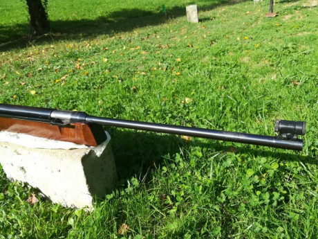 Hola, por varios y diferentes motivos tengo que vender todas mis carabinas de pistón.
Estas carabinas 31
