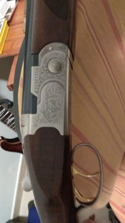 Vendo beretta 687 silver pigeon 3 calibre 20. Cañon 71 y mobilchokes. Maletin original. La escopeta esta 01