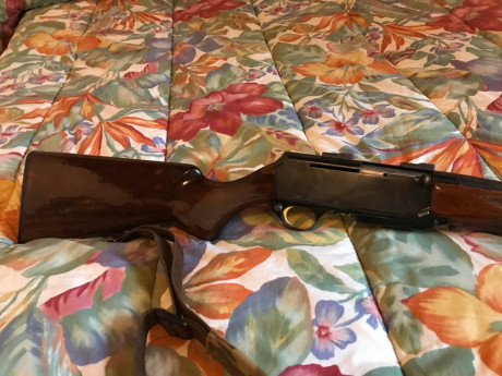 Se vende rifle fn browning mk2 calibre 3006 con sistema  Bosh,  en buen estado , precio 700 euros , las 11