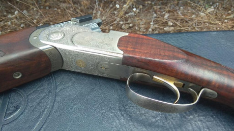 Vendo beretta 687 silver pigeon 3 calibre 20. Cañon 71 y mobilchokes. Maletin original. La escopeta esta 11