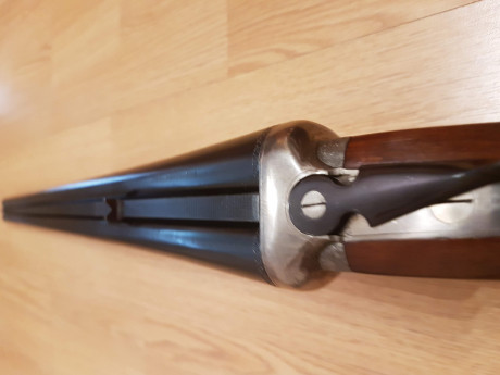 Buenas tardes, me gustaría saber si hay forma de poner un visor en una escopeta paralela (Ugartechea Jabalí). 141