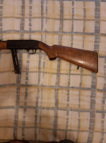 Carabina cal .22 semiautomatica GEBARM. Buen estado .Dos cargadores. Ligera y fiable. Desmontable
Esta 01