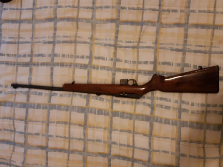 Carabina 22 lr semiautomatica BRNO, md. 581.  Cargador de 8 cartuchos. Arma de calidad. Muy buen estado 00
