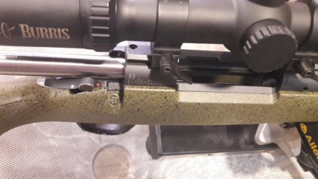 Se cambia rifle, con apenas uso y dos años de antigüedad,totalmente inmaculado ,por rifle semi o expréss,de 00