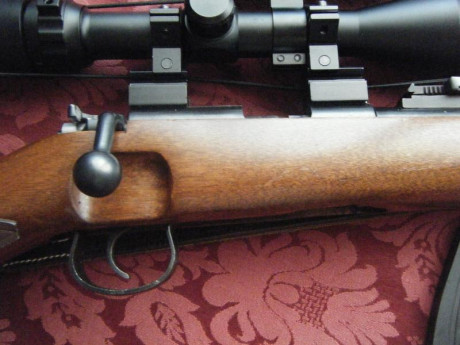 Vendo, por dejar las armas de fuego, un fusil marca Norinco JW-25 y cañon 52,5, que es una copia exacta 02