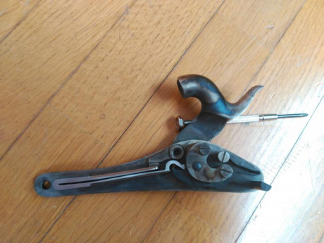 Hola:
Tras un paso por el taller vuelve a la venta mi querido minie.  Lleva el alza retrasada para cumplir 11