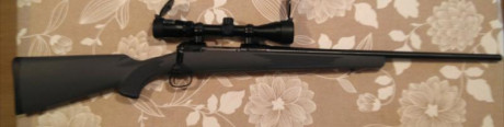 Saludos, vendo rifle Savage, modelo Stevens 200, calibre 308 Winchester, (7'62*51), con visor DOA 600 00