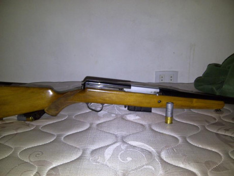 Buenas tardes amigos, poseo una escopeta semiautomática gardone bernadelli calibre 12 mm, me gustaría 00