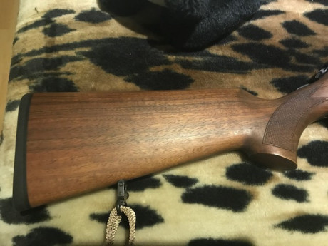 Buenos días, vendo rifle TITAN 6 de cerrojo en calibre 300 wm. Lo vendo con visor y monturas. El visor 01