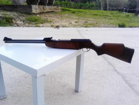 ¡Hola compañeros!
Esta tarde he tenido el placer de ver en casa de un amigo una BSA silverstar, modelo 80