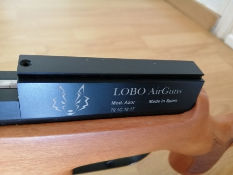 Buenos días compañeros.
Por problemas de salud tengo que vender mi Lobo Azor más todo los demás, compresor 32