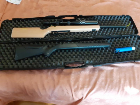 Vendo carabina del 22 modelo Sako Quad con visor WEABER T36 y una culata de madera para BR-50.
Pido 1400 00