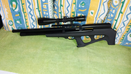 Vendo carabina Fx Wildcat en calibre 6.35mm, su estado es impecable, pido por ella 700.- portes incluidos, 01