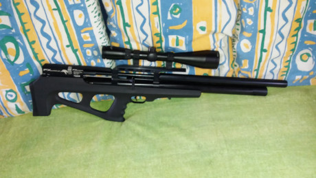 Vendo carabina Fx Wildcat en calibre 6.35mm, su estado es impecable, pido por ella 700.- portes incluidos, 00
