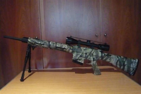 hola compañeros.
me gustaria que me hecharais una mano con la adquisición de un nuevo rifle para caza/tiro 10