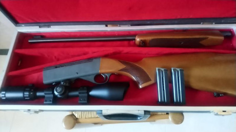 Vendo carabina anschutz cal. 22 semiautomática desmontable.
Estuche rígido 
Visor 3-9x40
Dos cargadores 02