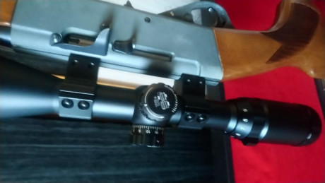 Vendo carabina anschutz cal. 22 semiautomática desmontable.
Estuche rígido 
Visor 3-9x40
Dos cargadores 01