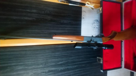 Vendo carabina anschutz cal. 22 semiautomática desmontable.
Estuche rígido 
Visor 3-9x40
Dos cargadores 00