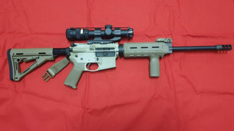 Se vende por no utilizar un Smith and Wesson Mp15 del calibre 300 Blackout, customizado, así como visor 00