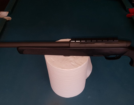 Vendo Steyr Mannlicher SSG 69 del calibre 308 con cañon match, lo vendo para hacer sitio en el armero 01