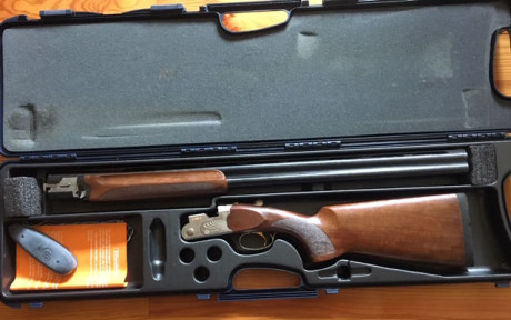 Vendo escopeta superpuesta Beretta S 686 E Trap, calibre 12. Cañones de 76 cm. de *  y **  fijos.
Prácticamente 02