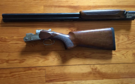 Vendo escopeta superpuesta Beretta S 686 E Trap, calibre 12. Cañones de 76 cm. de *  y **  fijos.
Prácticamente 00