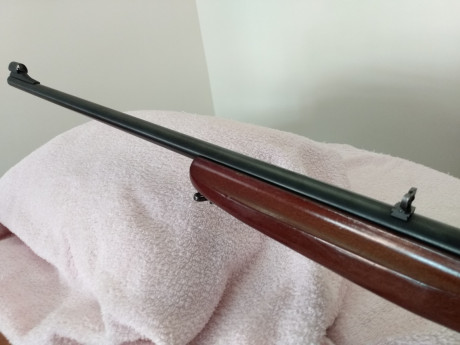 Muy buenas, vendo carabina Anschutz 22 Lr en perfecto estado. Tiene una buenísima precisión. Lleva acoplado 00