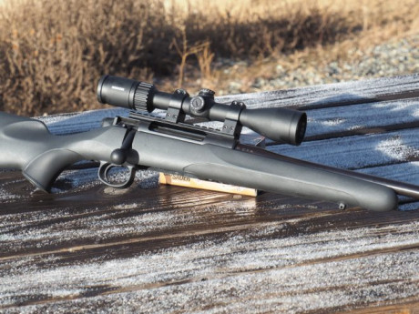 Hola compañeros cambio estos dos rifles estan impecables un rossi Puma 454 casull con carril y punto rojo 12