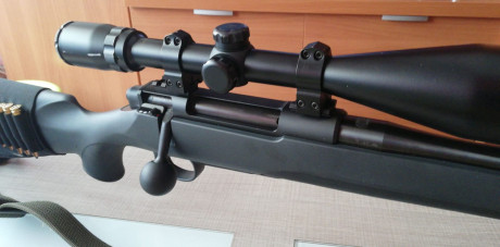Hola compañeros cambio estos dos rifles estan impecables un rossi Puma 454 casull con carril y punto rojo 10