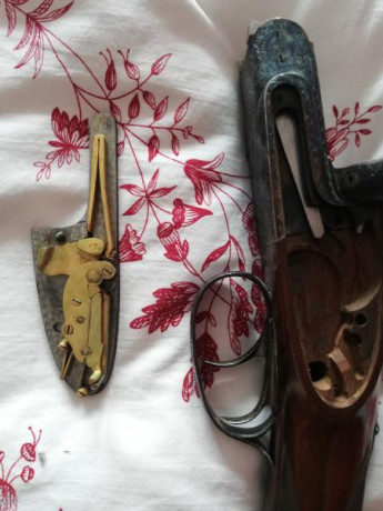 Hola amigos.
A llegado a mis manos esta paralela y me gustaría saber algo más de ella. Pone por ahí Pedro 42