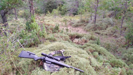 Hola a todos.
Quiero comprar un rifle en uno de estos dos calibres, y no tengo claro cual comprar pues 122