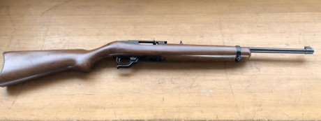 Vendo carabina Ruger 10/22 en buen estado de funcionamiento, con un cargador de 10, incorpora carril para 02