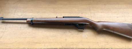 Vendo carabina Ruger 10/22 en buen estado de funcionamiento, con un cargador de 10, incorpora carril para 01