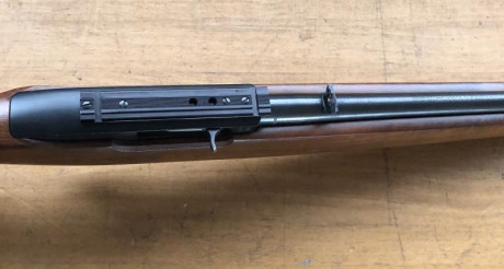 Vendo carabina Ruger 10/22 en buen estado de funcionamiento, con un cargador de 10, incorpora carril para 00