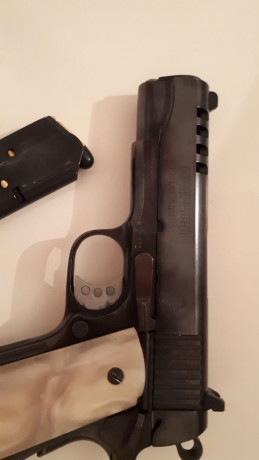 Buenas noches,

Vendo para hacer hueco para otros proyectos una magnífica pistola Griffon 45 acp 1911, 21