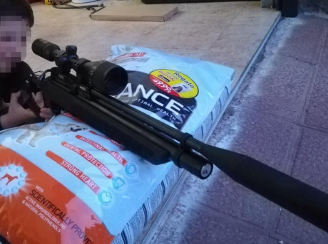 Hola a todos,
Compré una gamo chacal para mi crio, que parece que le picaba el gusanillo, pero está muerta 00