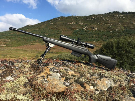Vendo rifle en 308 Win. con pelo y muy poco uso
Apenas 60 tiros
Tiene más pegatinas que trae de nuevo 00