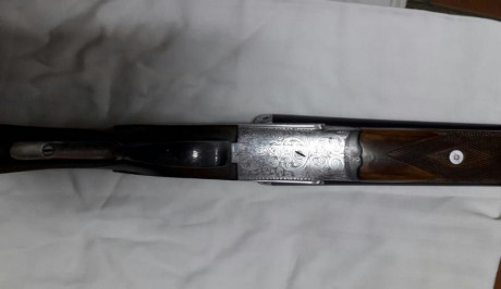 :ganster: Escopeta EGO disponible, según me indicaron en la armería del Corte Inglés hace años ( la lleve 00