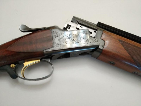 Buenos días a todos,

vendo express Browning superpuesto cal. 9,3 x 74R y cañones de escopeta adicionales 170