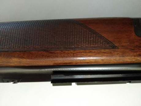 Buenos días a todos,

vendo express Browning superpuesto cal. 9,3 x 74R y cañones de escopeta adicionales 00