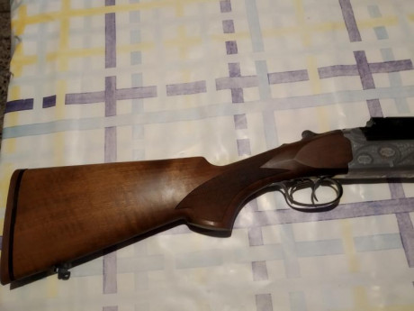 Un amigo me pide que anuncie la venta de esta arma: 

Express Superpuesto Antonio Zoli calibre 9,3 x74. 12