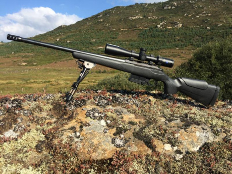 Hola
Vendo mi rifle en 308 Winchester con unos 15 meses desde a la compra. Aún tiene pegatinas puestas 00
