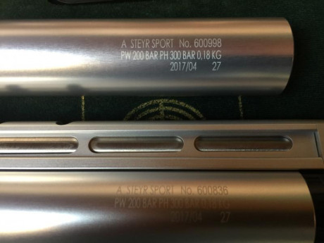 Hola muy buenos días 
Pongo a la venta por jubilación pistola Steyr EVO 10 impecable no tiene ni dos años 01