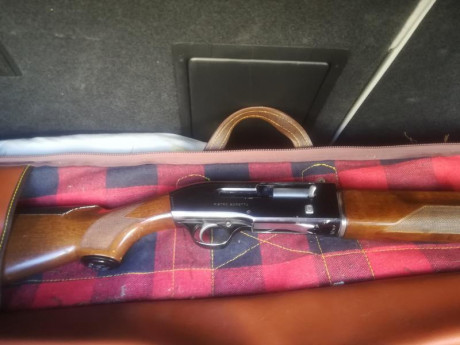 Hola vendo Beretta 300 cañón de 3***,. Tiene sus años pero nunca ha dado un fallo.
 
CAÑON CON HERNIA.. 00