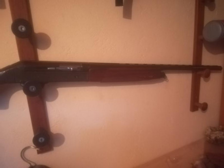 Hola, vendo benelli 121.tiene 3** de cañón.
Tiene muy pocos tiros pero me caí con ella y tiene algunos 01